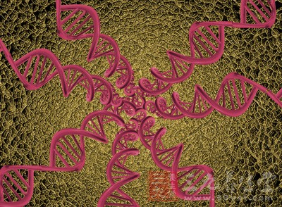 敗血癥的詳細(xì)治療