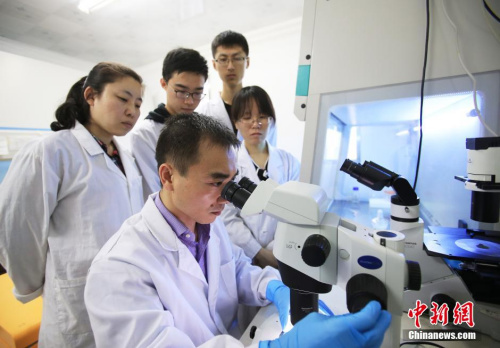 點(diǎn)擊進(jìn)入下一頁(yè)